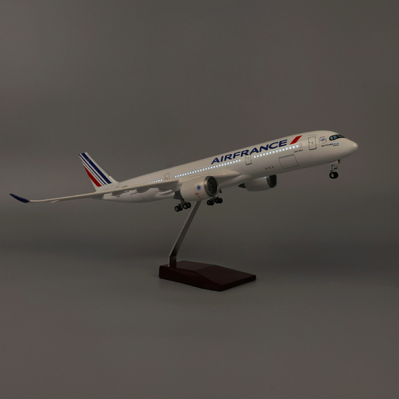 47cm Air France A350 Modelvlie - Model Kit Plane recensie en prijs